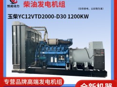 1200KW玉柴YC12VTD2000-D30柴油发电机组照片